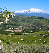Sicily Biking photo